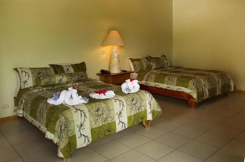 Ficus Lodge Monteverde Exterior foto